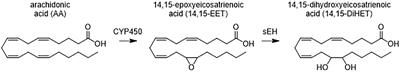 Pharmaceutical Effects of Inhibiting the Soluble Epoxide Hydrolase in Canine Osteoarthritis